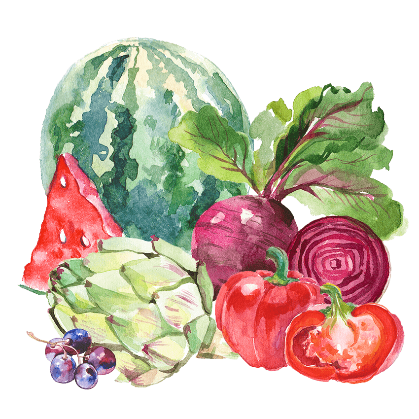 Watercolor illustration of a watermelon, artichoke, grapes, beets, and red peppers.