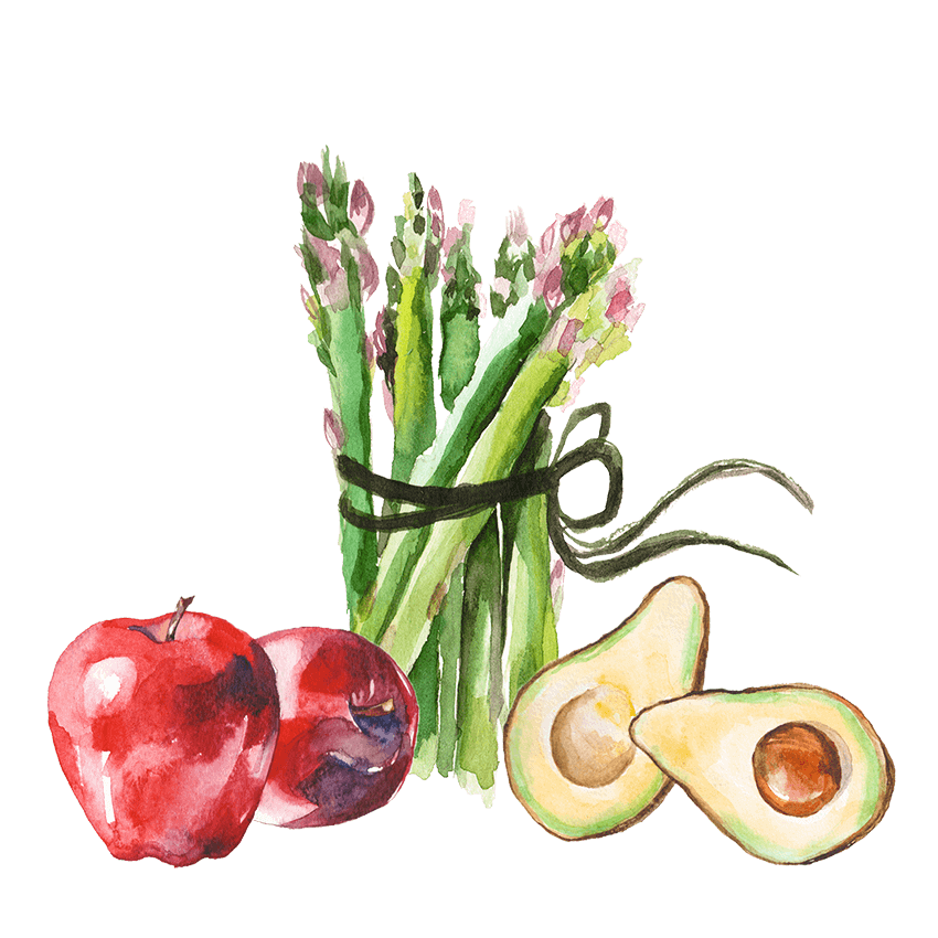 Watercolor illustration of apples, asparagus, and avocado.