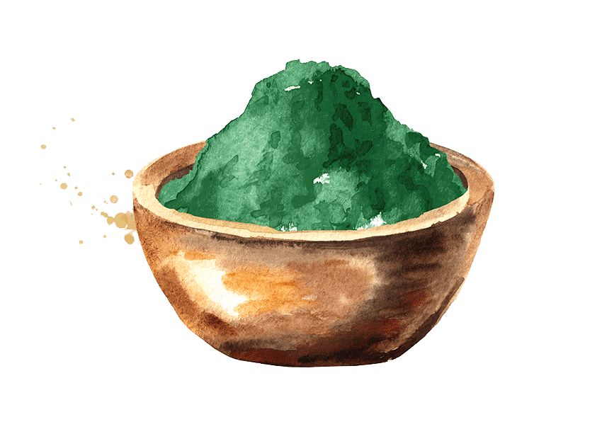 Watercolor illustration of a green powder in a wooden bowl.