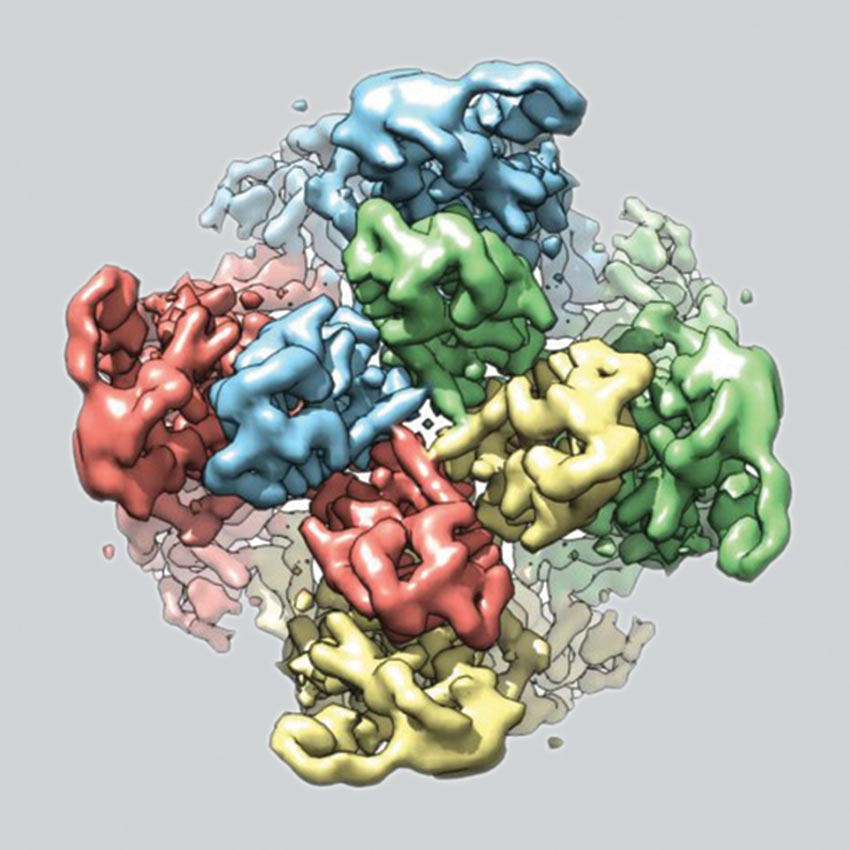 Computer rendering of a molecular mechanism.