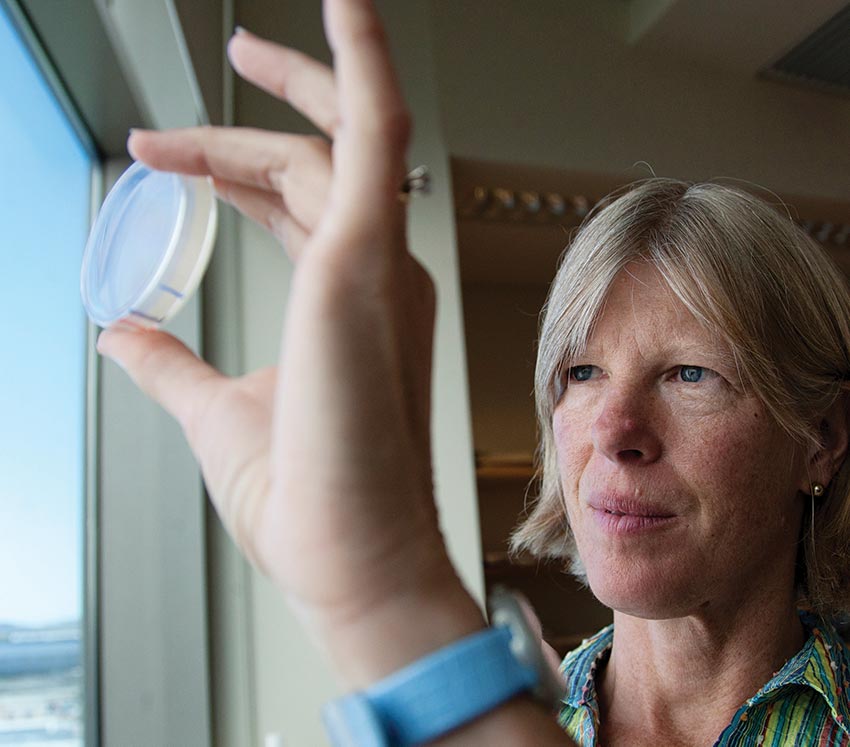 Cynthia Kenyon holds up and looks at a petri dish.