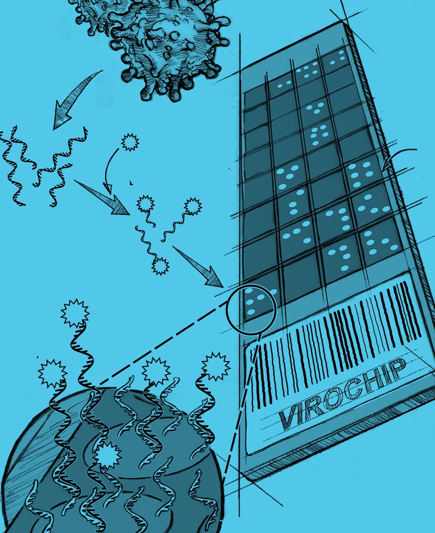 Illustration of a Virochip.