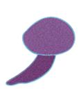 Illustration of a small purple mushroom.
