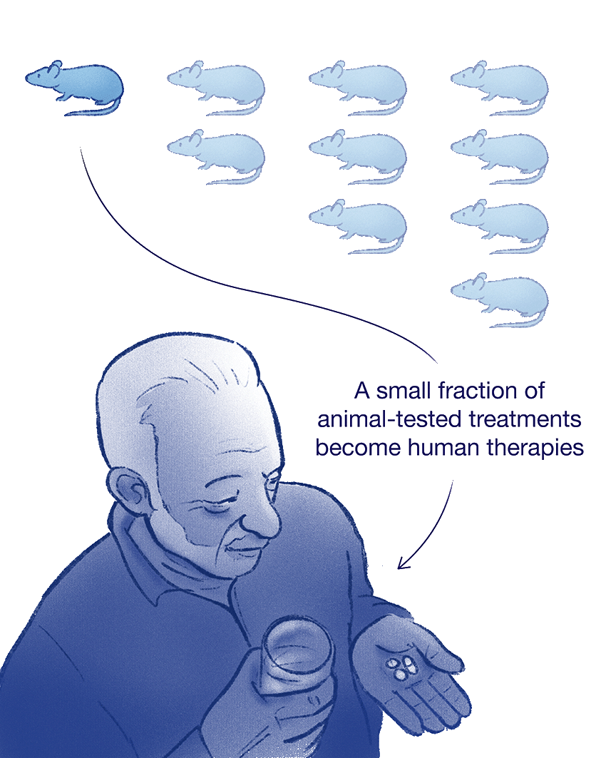 Infographic illustration of 10 mice, one is shaded darker with the callout "Only 1 out of 10 mouse models move on to clinical trials." The callout points to a man holding medication in his hand.