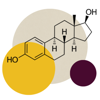 Chemical compound diagram of the hormone estrogen with decorative circles.