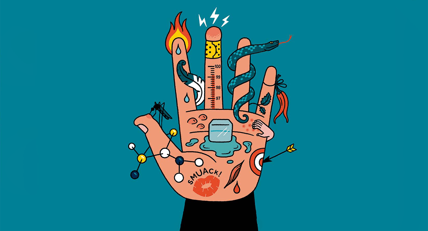 Illustration of the front of a hand with various stimuli on it, including a fire, ice, mosquito, a feather, a snake, chile peppers, itch, pain, and a kiss.