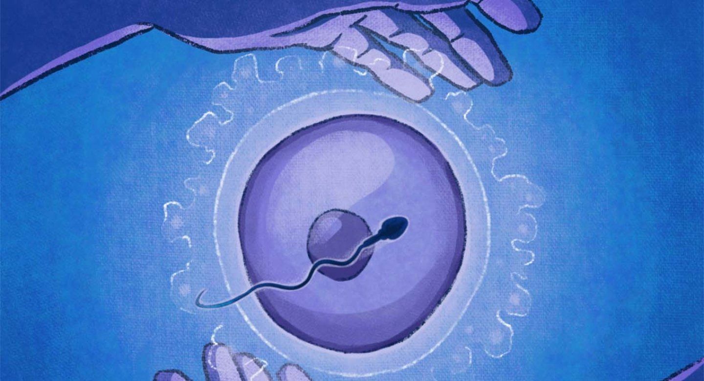 Illustration of hands encircling a human ovum (egg) with a sperm circling the egg.