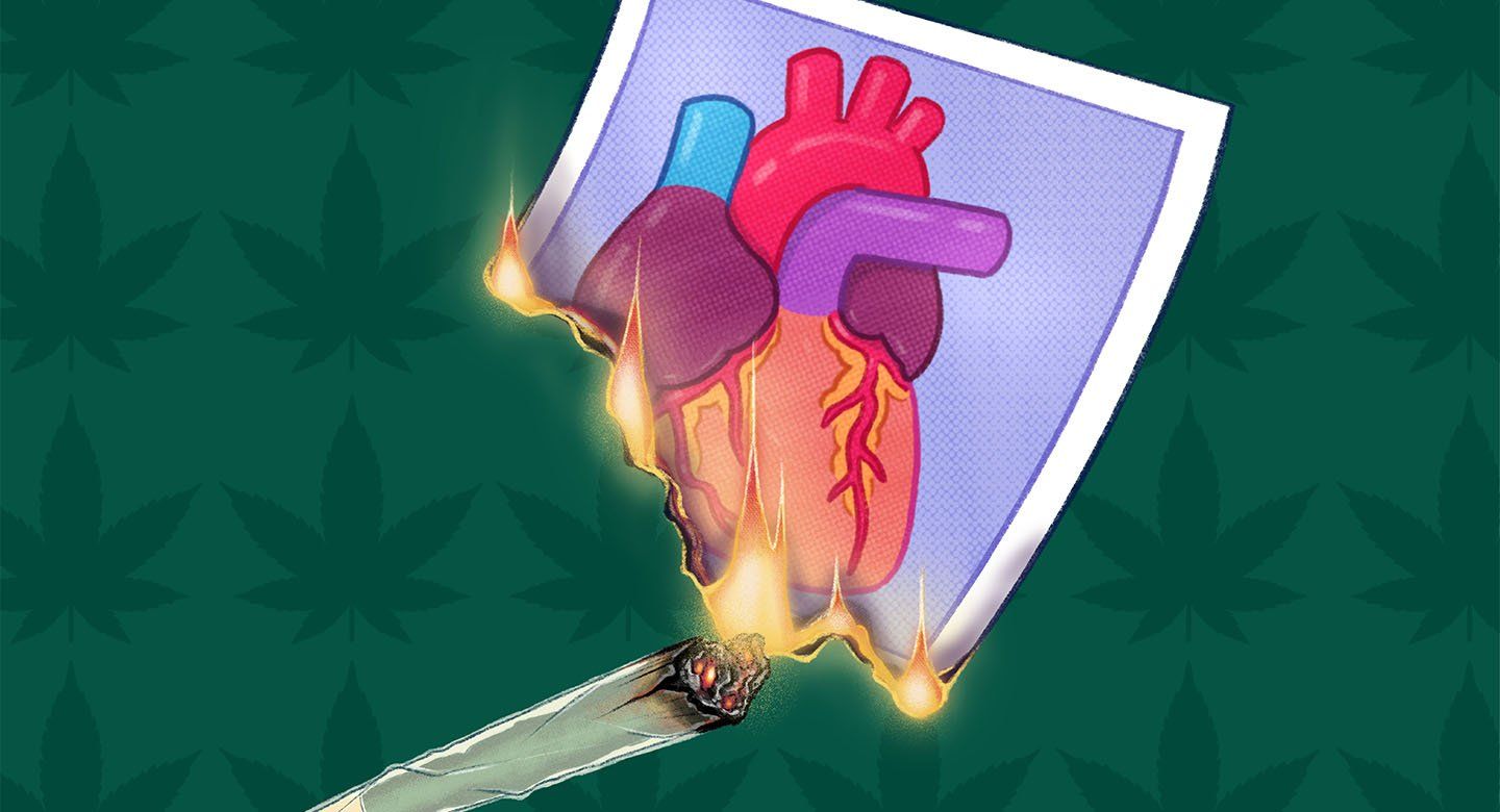 Illustration of a marijuana joint setting a photograph of a human heart on fire.