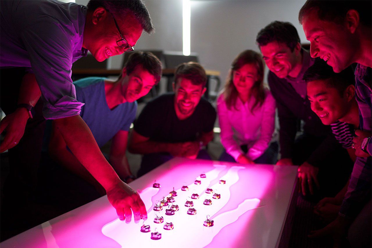 Wendell Lim and the students of the Lim Lab look over a plexiglass silhouette of a human body lit up in pink; robots dance across the surface.