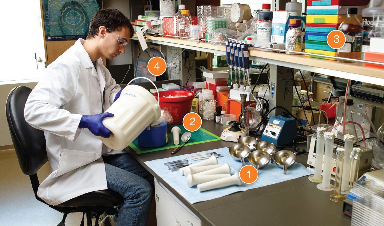 A researcher works at a lab table: numbers point to different parts of the lab.