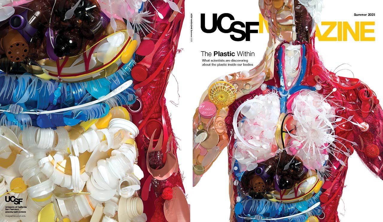 Cover of UCSF Magazine: top reads “UCSF Magazine, Summer 2025”. Text below reads: "The Plastic Within: What scientists are discovering about the plastic inside our bodies." Sculpture of the anatomical insides of a human body, made entirely out of pieces of colorful plastic.