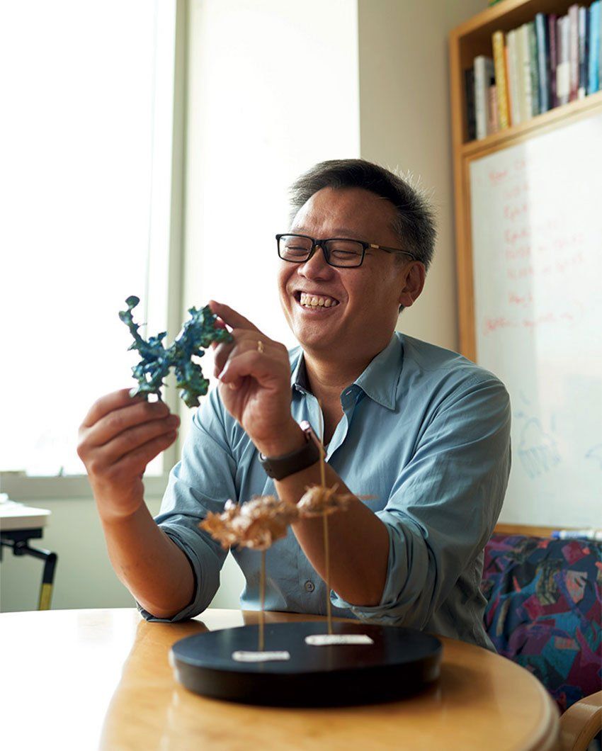 Wendell Lim plays with one of his handmade protein sculptures in his campus office.