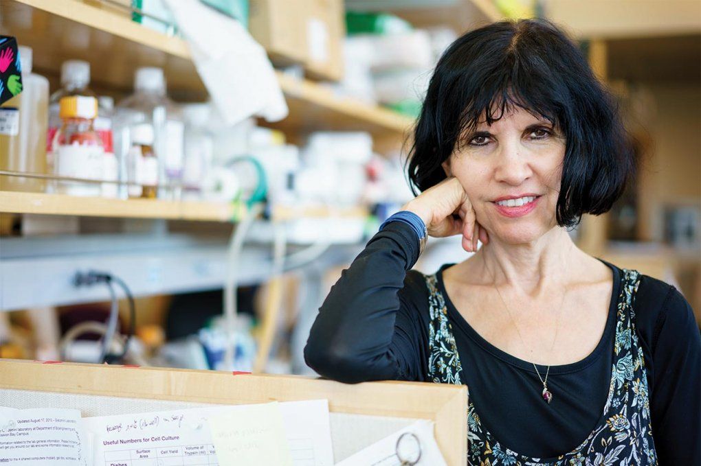 Photo of Kathy Giacomini in the lab.
