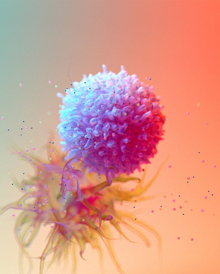 3-D illustration of an immune cell attacking another cell; interferons float around.