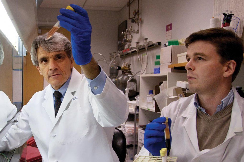 Stephen Hauser and Pierre-Antoine Gourraud looking at test tubes in the lab. 