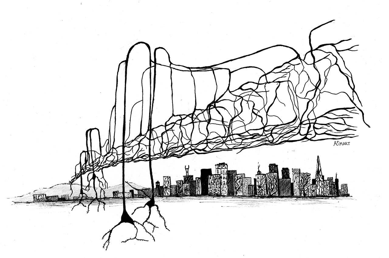 Ink illustration of a brain neural network as the Bay Bridge, with the San Francisco skyline in the background.