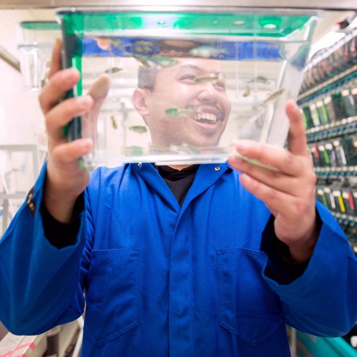 A laughing researcher in a blue lab coat holds up a small thin tank of zebrafish