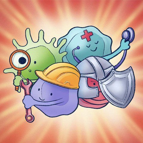 Illustrated cartoon of four friendly immune-system characters posed like a superhero team: a green germ detective holding a magnifying glass, a purple cell with a wrench and yellow hard hat, a blue medical cell with a red cross using a stethoscope, and a red armored cell with a shield, all against a radiant orange background.