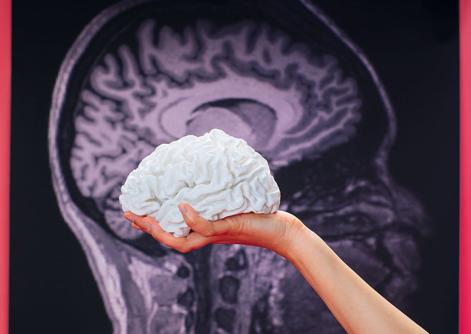 A hand holds up a white model of a brain in front a an image of a MRI scan of a human brain.