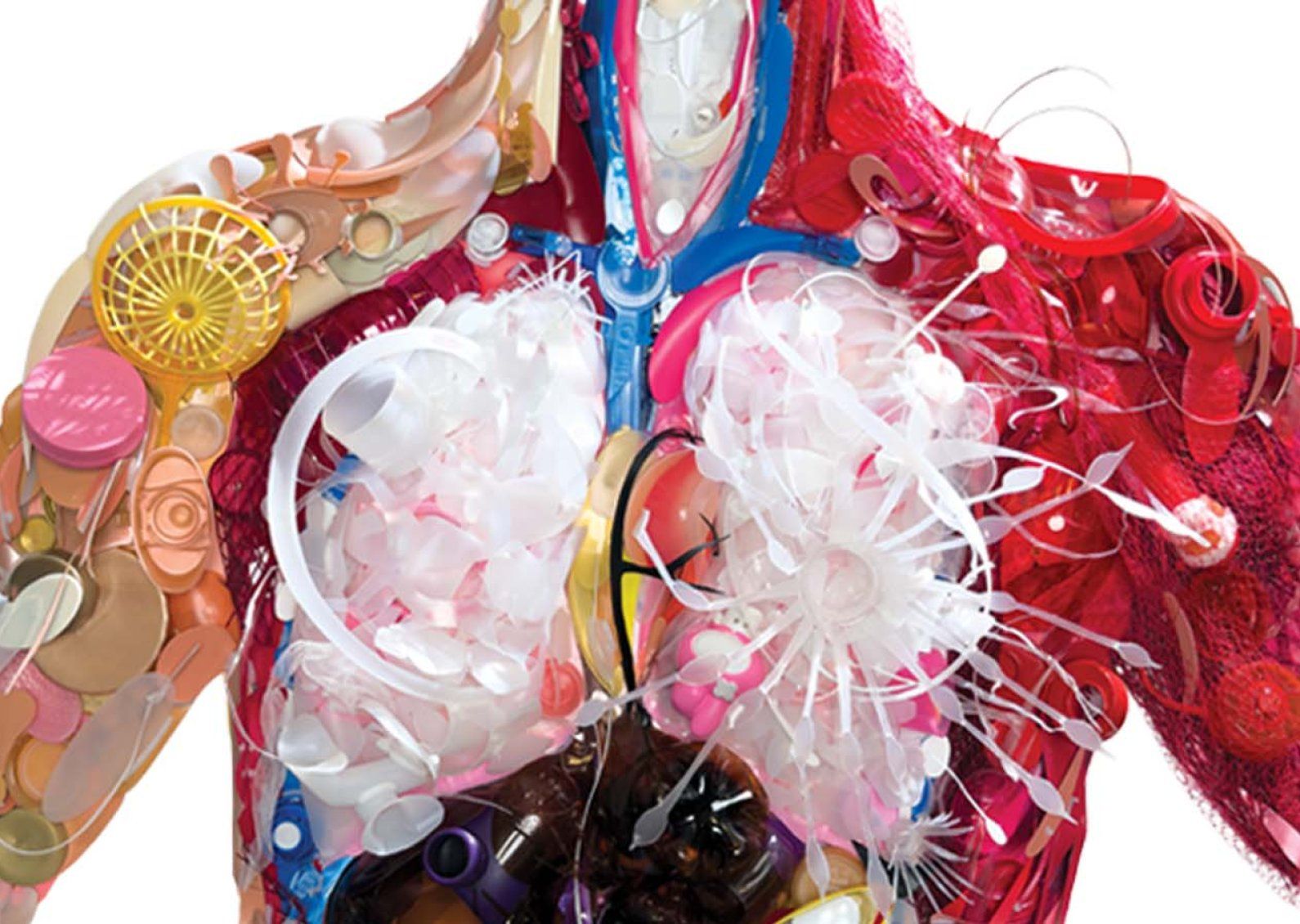 Sculpture of the anatomical insides of a human body, made entirely out of pieces of colorful plastic.