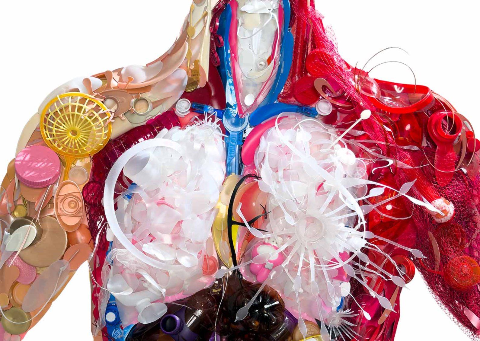 Sculpture of the anatomical insides of a human body, made entirely out of pieces of colorful plastic.