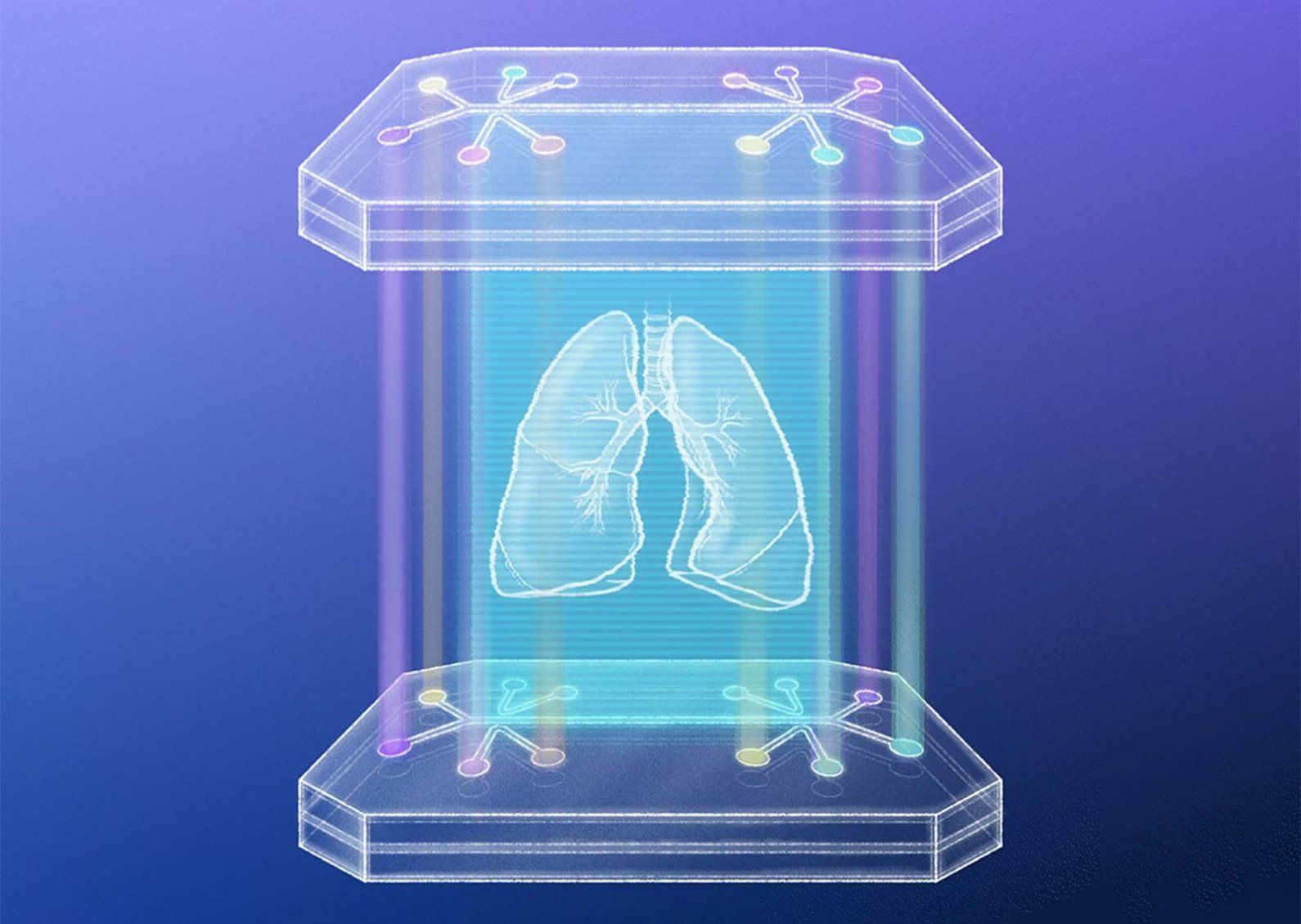 Futuristic illustration of a transparent organ-on-a-chip device showing a glowing, wireframe pair of human lungs suspended between two hexagonal platforms, with colorful node-like connectors on the top and bottom, set against a blue–purple gradient background.
