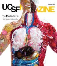 Sculpture of the anatomical insides of a human body, made entirely out of pieces of colorful plastic.