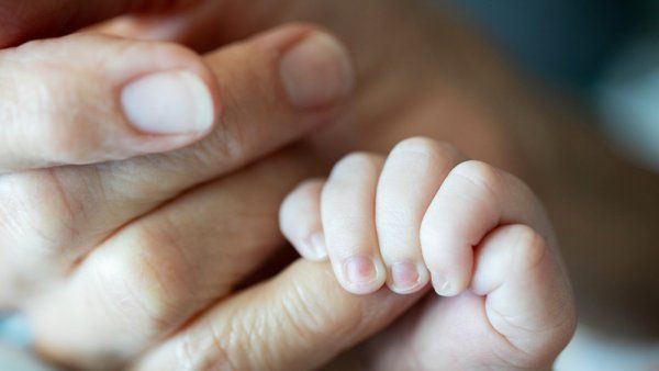 baby holding adult hand