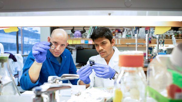 Max Krummel in the lab with postdoc Arja Ray