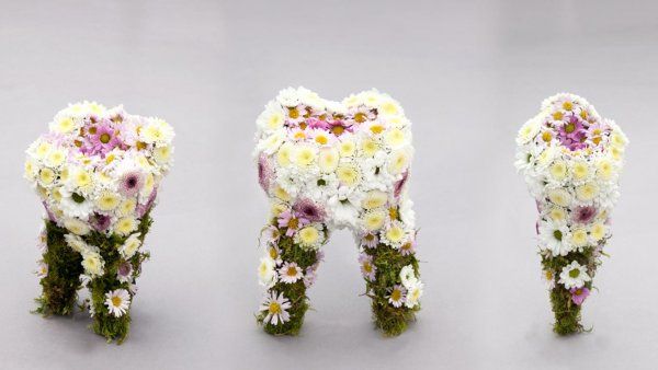 Sculptures of three human teeth made out of flowers and moss.