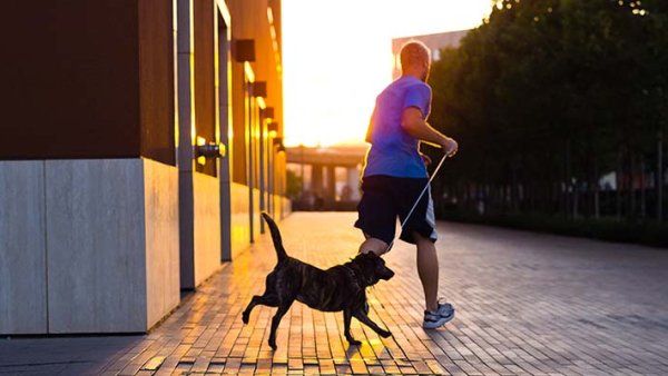 A man and his dog, running at sunset.