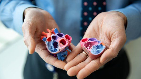 A closeup of two hands hold two halves of a 3D printed heart.