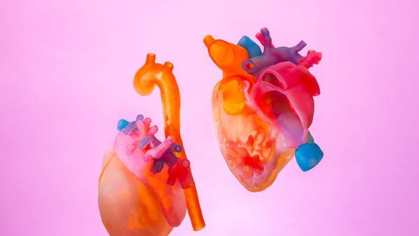 3d printed model of a heart, split into two pieces, floating in front of a pink background.