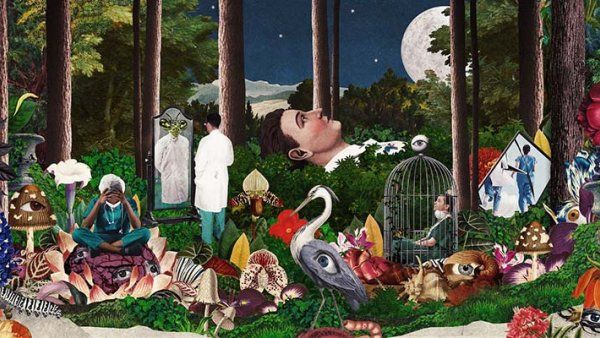 Illustration of a surreal collage of images in a forest, including animals and doctors in scrubs and white coats.