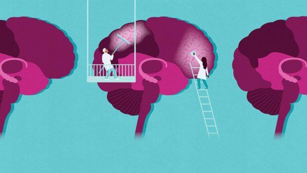 A graphic illustration of the concept of improving brain health Two doctors stand on ladder and clean the brain with wipers.