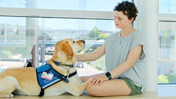 Eleven-year-old Elena Sweet sits in a hospital window and pets a therapy dog.