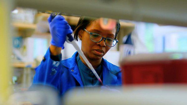 Carolyn Sangokoya looks over specimens in lab.