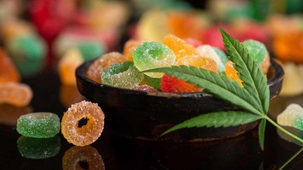 Marijuana leaves and cannabis infused gummies.
