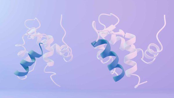 A 3D rendering of a protein.