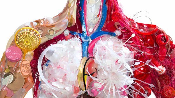 Sculpture of the anatomical insides of a human body, made entirely out of pieces of colorful plastic.