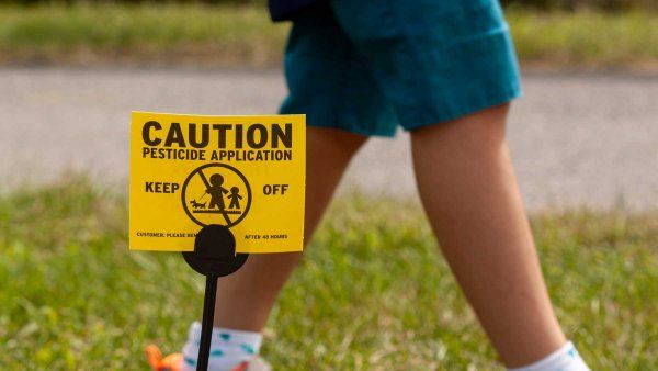 A child walks on grass with a warning sign that reads "Caution: Pesticide application, keep off."
