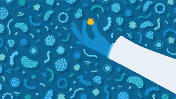 A conceptual illustration showing a hand holding a cancerous cell and surrounded by other microorganisms.