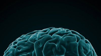 Human_Brain_X-ray_style.jpg