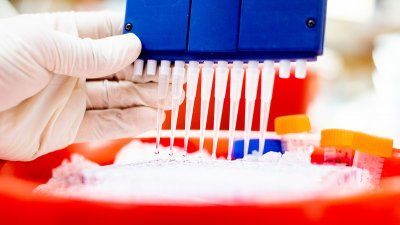 laboratory_equipement_hand.jpg