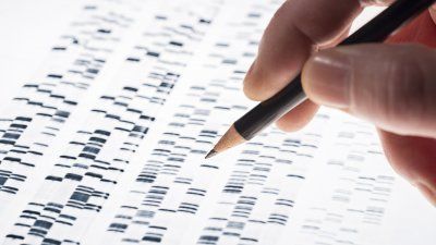dna_sequences.jpg