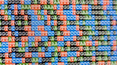 gene sequencing results