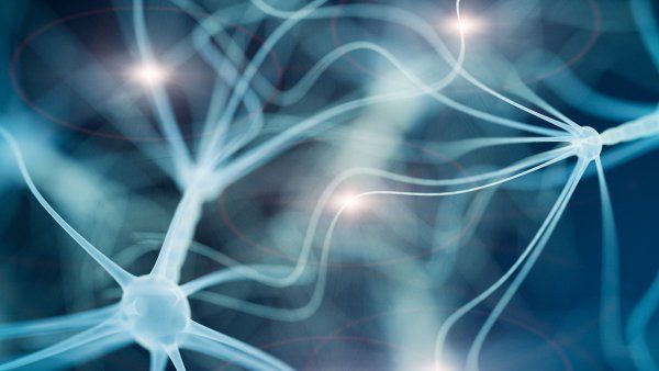 neuron illustration