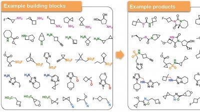 Image cannot be used outside Nature "virtual pharmacology" study. 