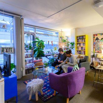Two students sit in their apartment with colorful purple chairs, yellow bookshelves and big windows