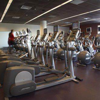 A row of exercise machines meant for cardio exercise